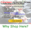 Why Shop Here?